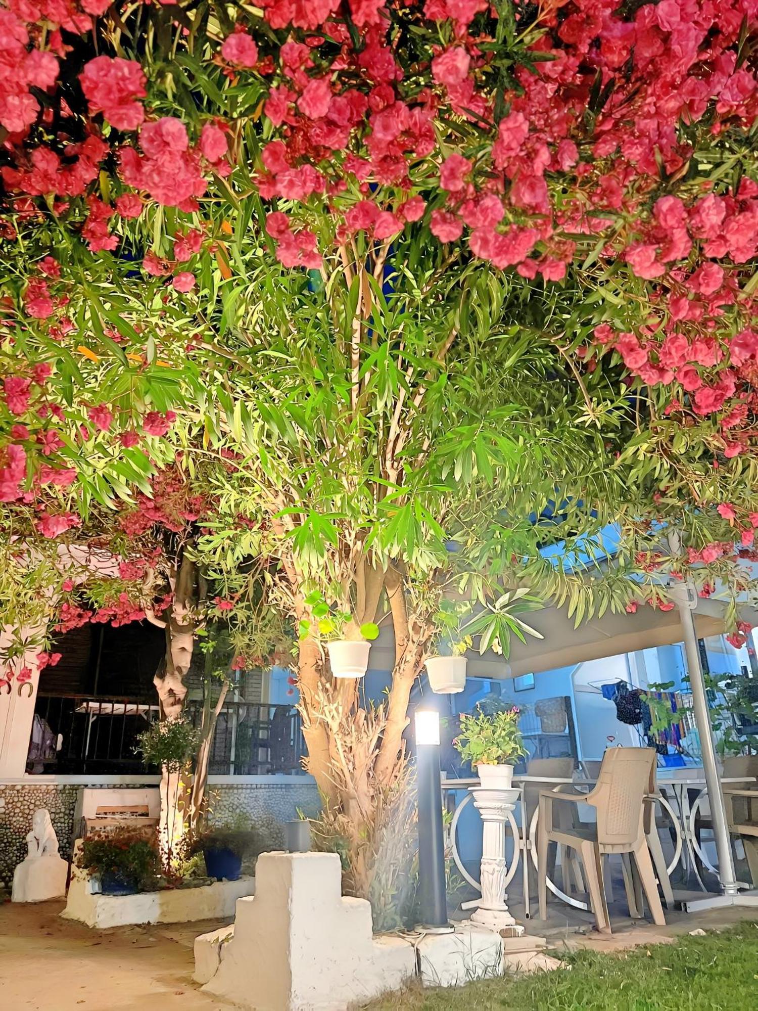 Guest House Julia Stavros  Luaran gambar