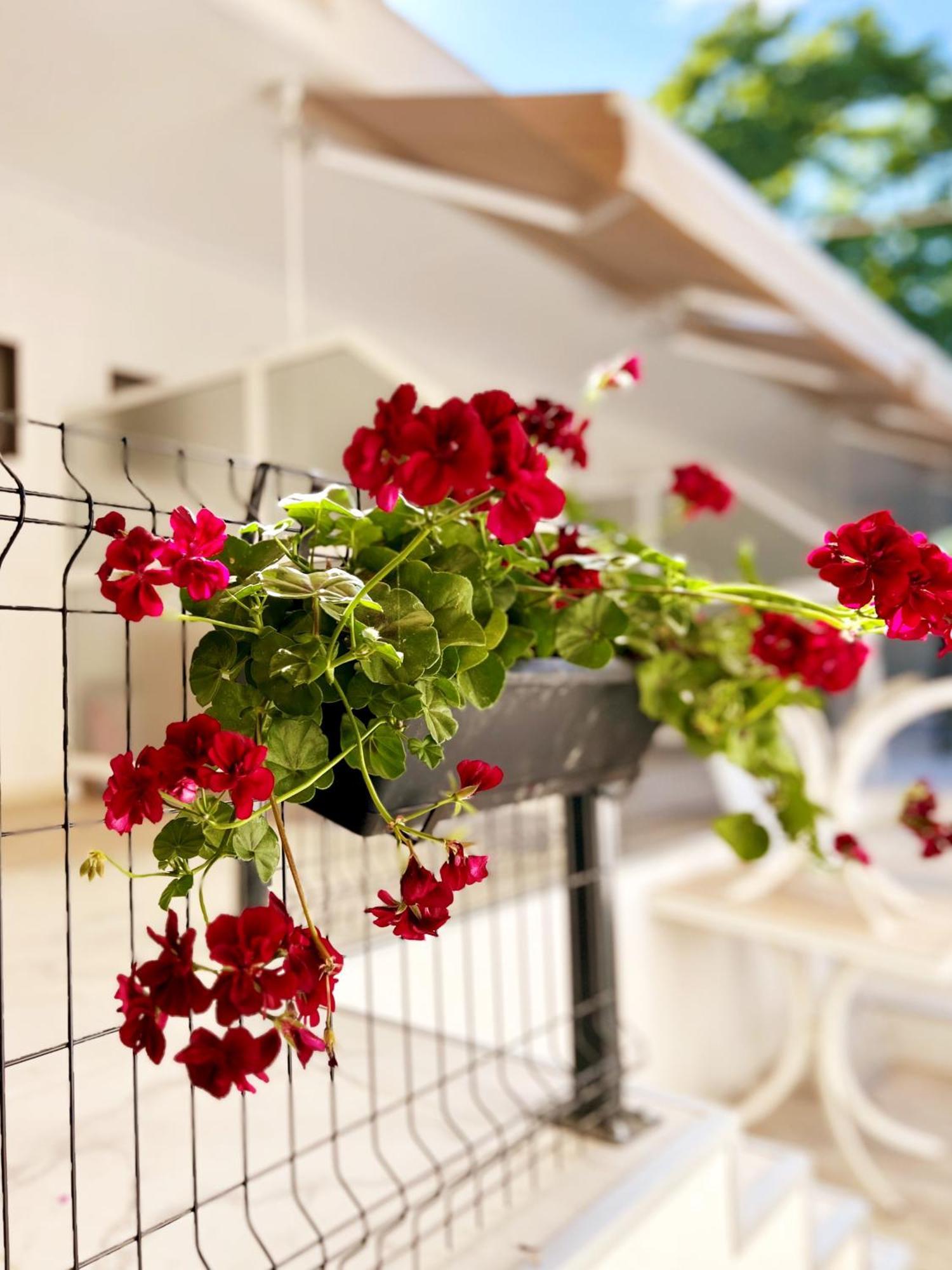 Guest House Julia Stavros  Luaran gambar